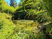 Der Gartenteich - 