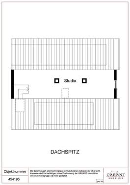 Dachspitz - 
