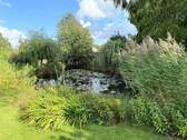 Teich - 