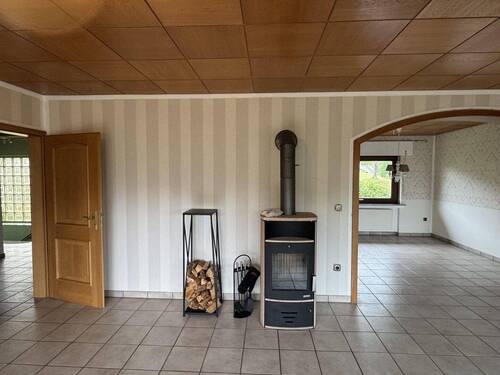 Kaminofen WZ - 
