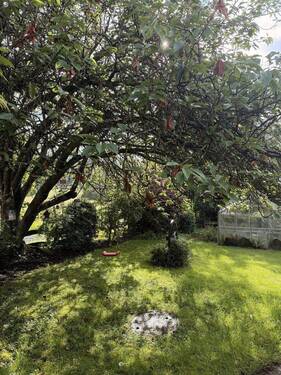 Garten - 