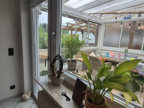 Zugang Sommergarten - 