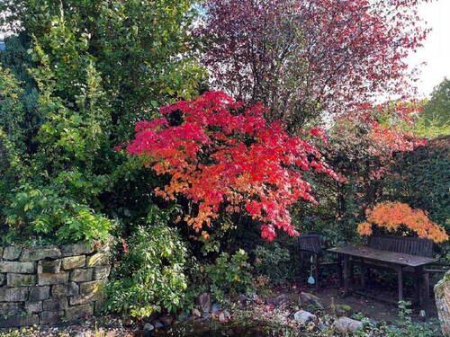 Gartenidylle - 