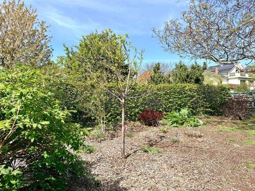 HOBBY GARTEN - 