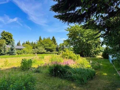 Blick von der Gartenlaube nach Osten - 