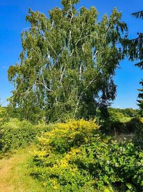 Blick zur Großen Röder - 