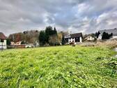 großes Grundstück - 