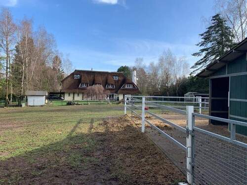 Garten - 5 Zimmer Einfamilienhaus zum Kaufen in Heckenransbach