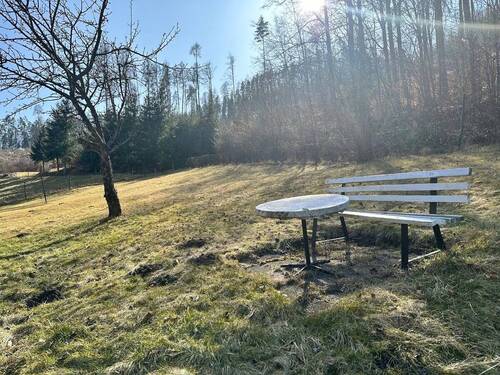 für den grünen Daumen - 