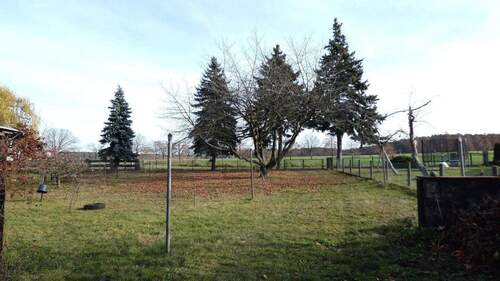 Garten und hintere Zufahrt - 