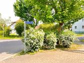 Schulstraße - Wohnung in Sandersdorf - 365,00&nbsp;EUR Kaltmiete, ca.&nbsp; 44,40&nbsp;m&sup2;&nbsp;Wohnfl&auml;che