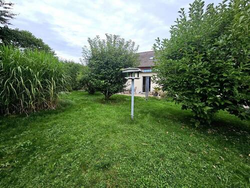 Bild 36 - 