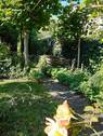 kleiner Garten - 