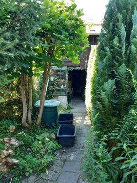 Blick zum Schuppen - 