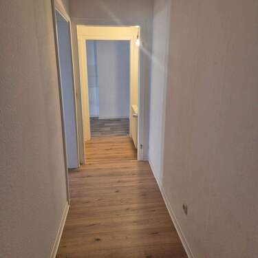 20260225_151548_resized_1.jpg - 