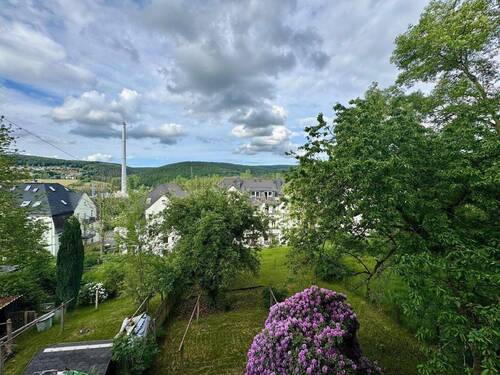 Gartenblick von Wintergarten - 