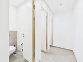 Damen WC - 