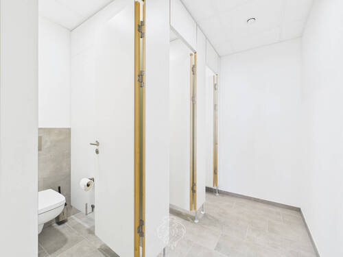 Damen WC - 