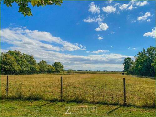 Blick auf die Hausweide - 