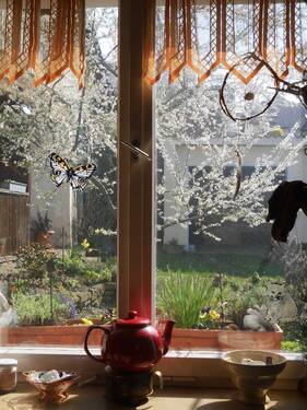 Frühjahrsblick.2026.jpg - Großes, absolut gepflegtes Wohnhaus mit Doppelgarage und Garten