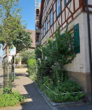 Hausansicht - Mehrfamilienhaus, Wohnhaus mit 226,00 m&sup2; in Oedheim zum Kaufen