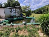 Gartenteich - 