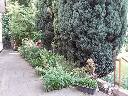 20190622_182036.jpg - 