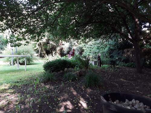 20190622_182250.jpg - 