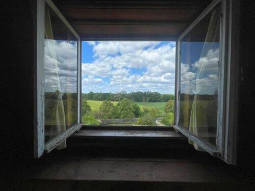 985f999b-43c0-46ce-bae0-5d216be8e53b.jpg - 