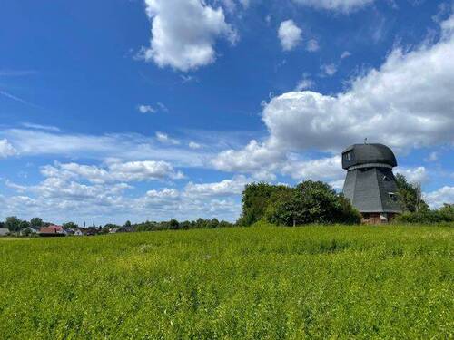 b72dc2a5-f83d-4571-b8c4-01f1e341e873.jpg - Mehrfamilienhaus, Wohnhaus mit 170,00 m&sup2; in Liebenwalde zum Kaufen