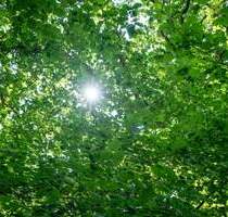 BLANKENESE FALKENSTEIN: BAUGRUNDSTÜCK IN FEINSTER LAGE - Hamburg