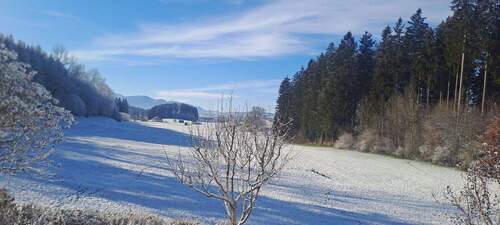 Bild 1 - Einfamilienhaus im Allgäu - 1.200.000,00 EUR Kaufpreis, ca.  194,00 m² Wohnfläche