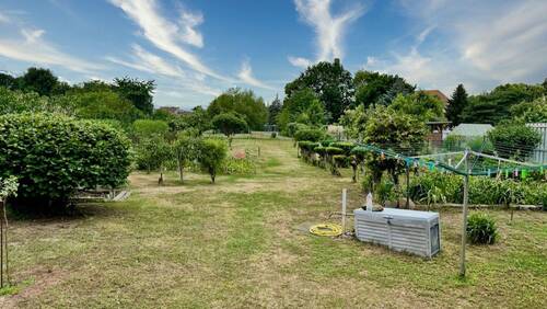Grundstück/ Garten - 