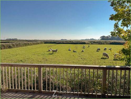 Frühstücksterrasse - 4 Zimmer Einfamilienhaus in Tetenbüll