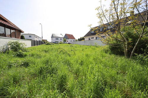 Bild 3 - Grundstück in Swisttal / Odendorf