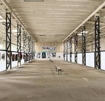 IHR NEUES IMMOBILIEN QUARTIER: Ebenerdige Lagerhalle in verkehrsgünstiger Lage - Hannover Wülfel