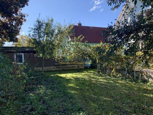 Garten mit Obstbäumen - 