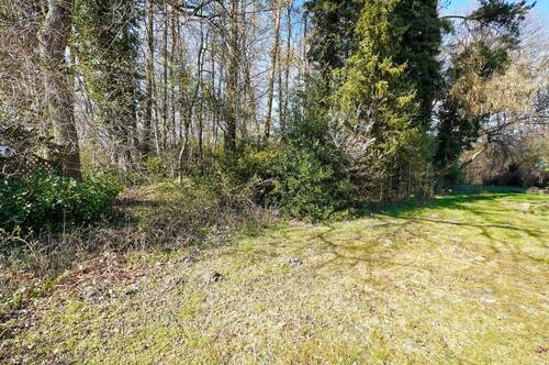 Garten - 5 Zimmer Reihenendhaus zum Kaufen in Buchholz