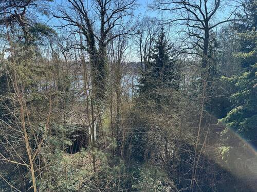 Baumbestand auf dem Grundstück - 