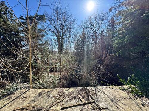 Blick von der Terrasse Richtung Stienitzsee - 