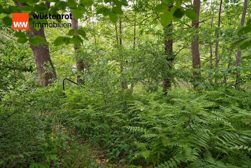 Abgang zum Steg - 