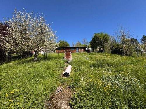 Bild 4 - Grundstück in Bad Sulza zum Kaufen