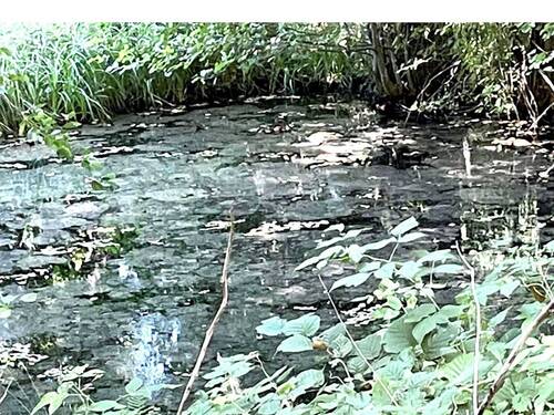 unterer Weiher - Grundstück in Herborn