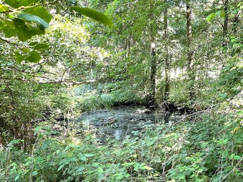 unterer Weiher - Grundstück in Herborn zum Kaufen
