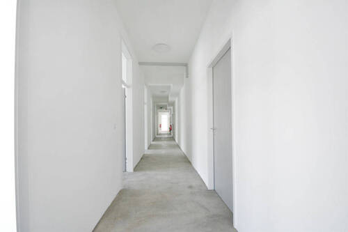 Bild6 - 