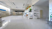 Bild9 - 