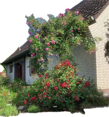 Haus seitlich - 6 Zimmer Einfamilienhaus zum Kaufen in Tosterglope