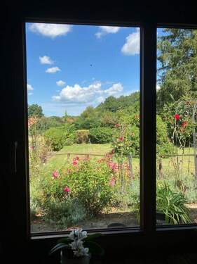 Blick aus dem Küchenfenster - 