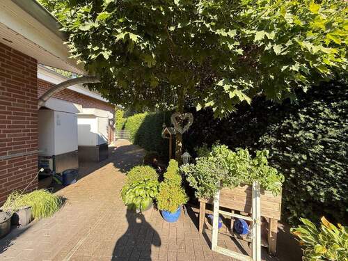 Gartenweg mit Pflanzen - 