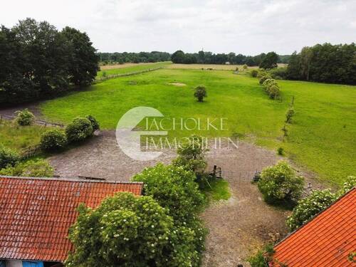 318.Grundstück_Wiese - 8 Zimmer Mehrfamilienhaus, Wohnhaus in Bienenbüttel / Wichmannsburg